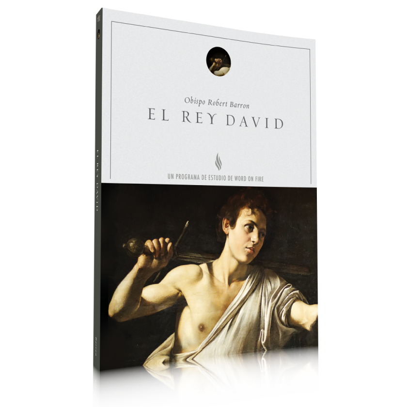El Rey David - Guía de Estudio